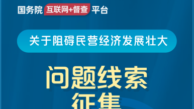 又白又嫩的大逼谁不想操国务院“互联网+督查”平台公开征集阻碍民营经济发展壮大问题线索